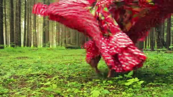 Barefooted woman in a bright gypsy attire dances in the forest. — Stock Video