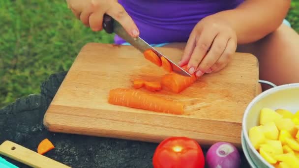 Las manos femeninas cortan una zanahoria en pedazos en una tabla de madera con un cuchillo . — Vídeo de stock