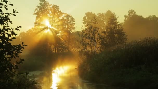 Odparowanie mgły nad rzeką o wschodzie słońca. — Wideo stockowe