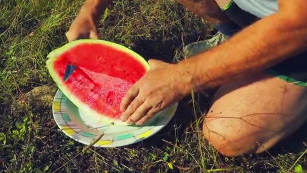 Handen van de mens een watermeloen snijden met een mes. — Stockvideo
