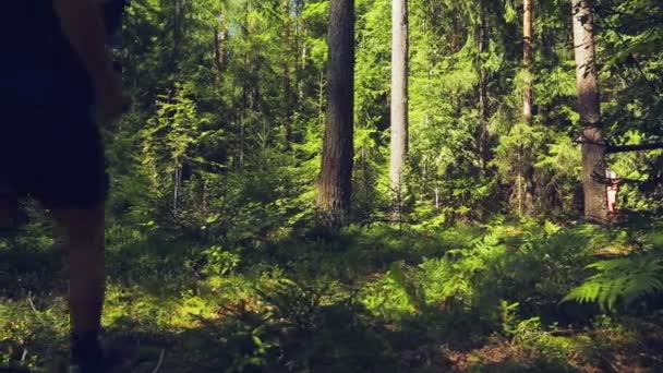 Un touriste avec un sac à dos derrière lui court à travers la forêt. Tir par le dos . — Video