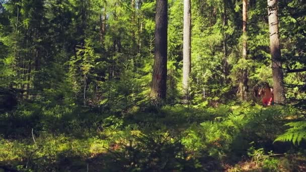 Egy nő turisztikai egy hátizsák, háta mögött fut az erdőben. — Stock videók