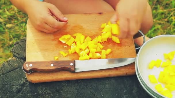 Las manos femeninas ponen pimienta amarilla picada en un plato . — Vídeos de Stock