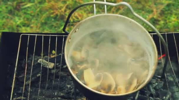 Koka svamp för soppa i en kruka som står på elden i en brasa. — Stockvideo