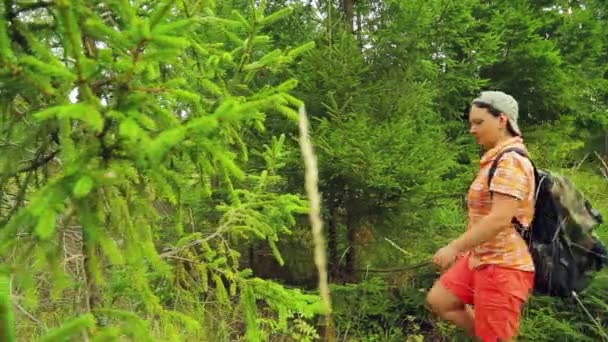 Fiatal nő turista egy hátizsák, séta az erdő háta mögött egy baseball sapka. — Stock videók