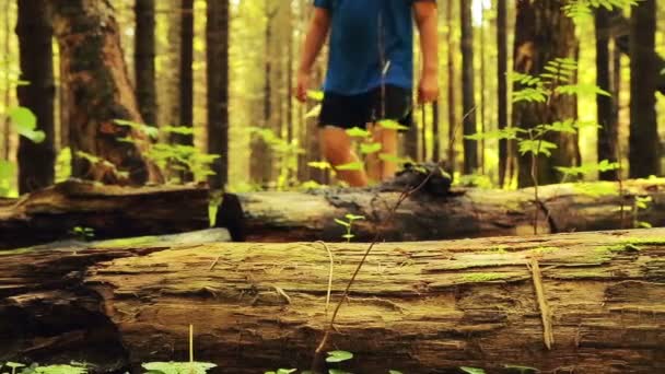 A turisztikai ember lép egy kidőlt fát az erdőben. — Stock videók