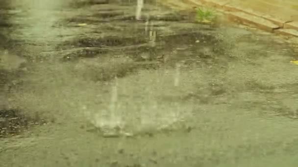 Μεγάλες σταγόνες βροχής πτώση στην άσφαλτο. — Αρχείο Βίντεο