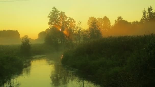 Lever de soleil sur la rivière avec un courant rapide couvert de brouillard .