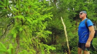 Bir turist bir beyzbol şapkası ve gözlük onun arkasında bir sırt çantası ile ormanda yürür.