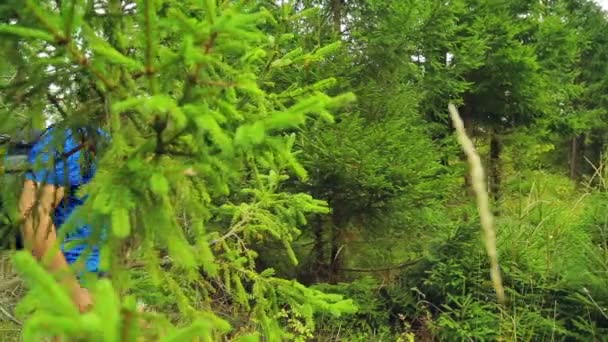 Um turista em um boné de beisebol com uma mochila atrás dele caminha pela floresta . — Vídeo de Stock