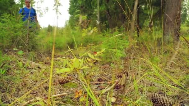 Un homme jambes en baskets dans la forêt marcher sur les branches sèches sur le sol . — Video