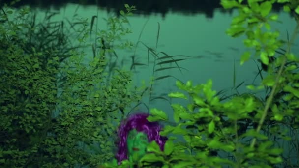 Le visage d'une sorcière verte des fourrés sur la rive du lac au crépuscule et regardant doucement autour . — Video