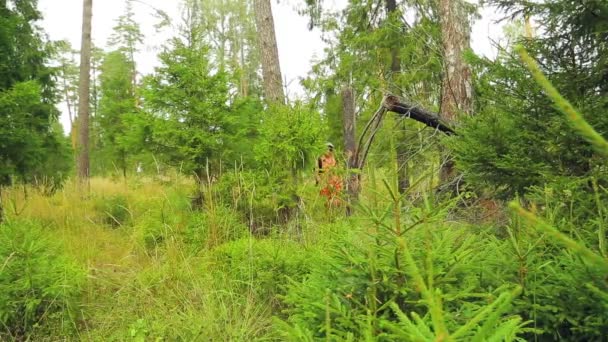 Une jeune touriste dans des lunettes avec un sac à dos derrière le dos court à travers un fourré dans la forêt . — Video