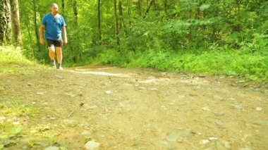 Bir turist bir orman yolu yürüyor.