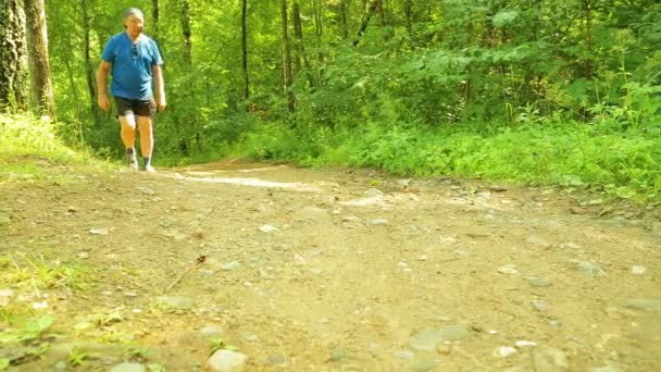 Un turista está caminando por un sendero forestal . — Vídeos de Stock