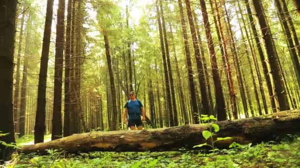 Turistické muž kroky přes padlý strom v lese. — Stock video