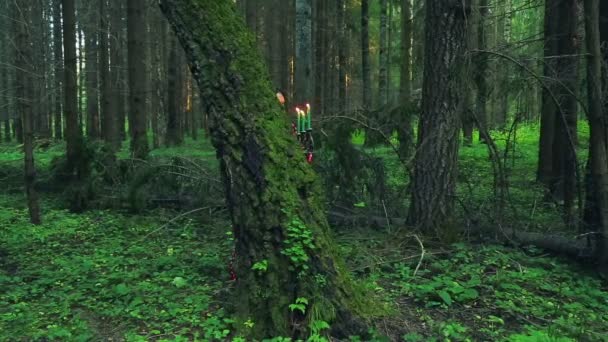 Une jeune femme gitane marche à travers la forêt et tient un chandelier avec des bougies allumées . — Video