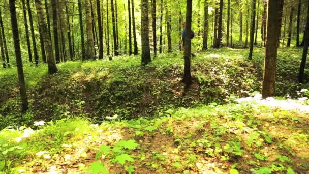 Egy ember túrázók hátizsák, séták az erdőben. Az előtérben van egy szakadékba. — Stock videók