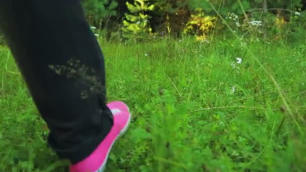 Womens legs in sneakers go through the grass in the forest or park. shooting from the back. — Stock Video
