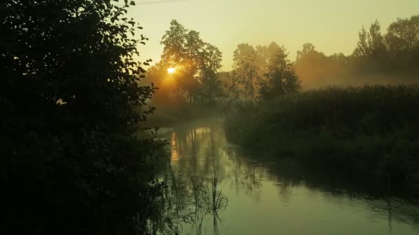 Sunrise a riveren egy gyors jelenlegi át, amely a köd terjed. — Stock videók