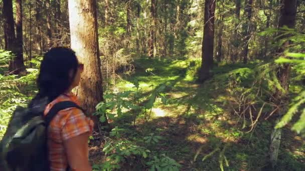 En kvinna vandrare promenader genom skogen, driver snår med händerna. Skytte från baksidan. — Stockvideo