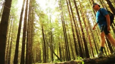 Bir turist bir sırt çantası ile bir uçurumun düşmüş bir ağaç geçiyor.