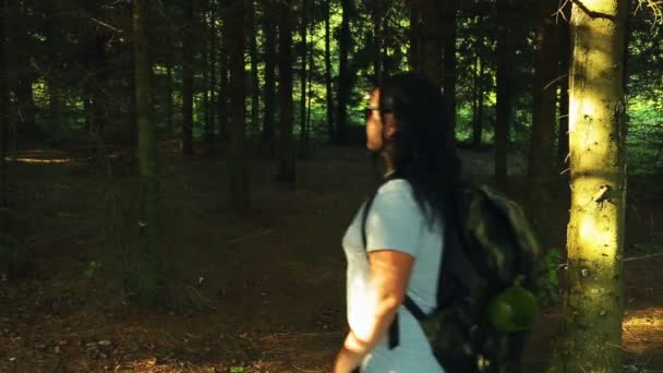 Žena s batohem procházky lesem za slunečného dne. Střelba ze zadní. — Stock video