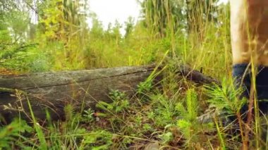 Erkek spor ayakkabı adım üzerinden ormana düşmüş bir ağaç bacaklarda.