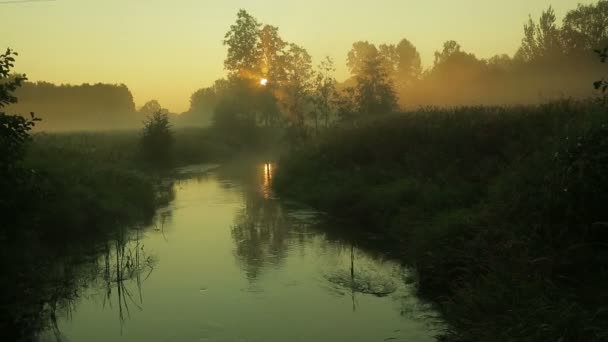 Sunrise a riveren egy gyors jelenlegi át, amely a köd terjed. — Stock videók