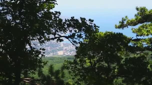 View from a high mountain to a city by the sea coast. — Stock Video