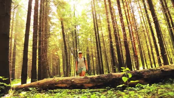 Женщина-туристка переступает через упавшее дерево в лесу . — стоковое видео