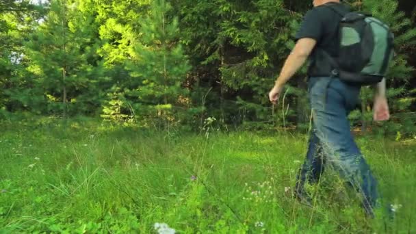 Hombre Con Una Mochila Camina Por Los Matorrales Del Bosque — Vídeo de stock
