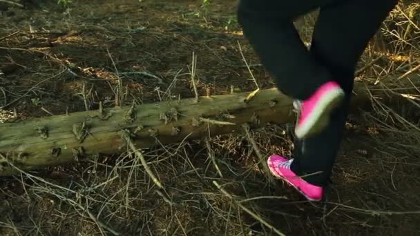 Pies Femeninos Pisan Árbol Caído Bosque Disparando Por Espalda — Vídeo de stock