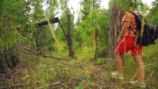 Туристка Бейсболке Рюкзаком Спиной Проходит Через Лес Рядом Упавшим Деревом — стоковое видео
