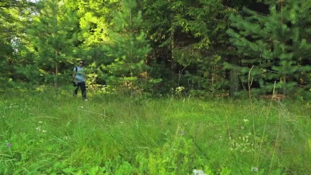 一位女游客离开森林到空地 — 图库视频影像