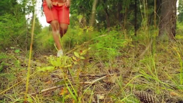 女性脚在森林中的靴子在地上的树枝上一步 — 图库视频影像