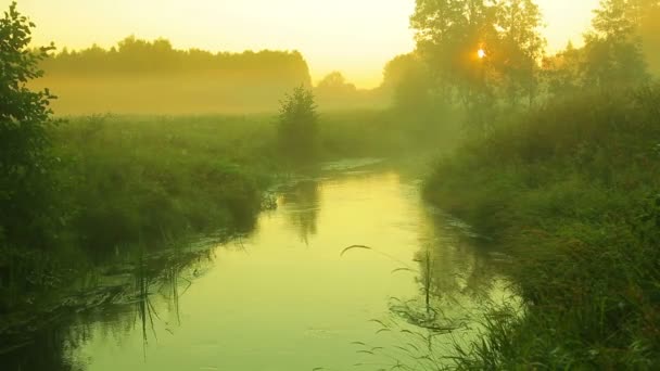 Sonnenaufgang Auf Einem Schmalen Fluss Mit Schneller Strömung — Stockvideo