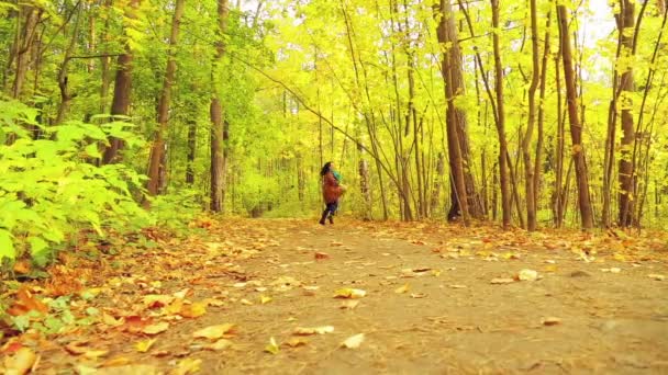 Young woman in a coat and scarf in the autumn park with maple leaves in her hands runs along the path. — Stock Video