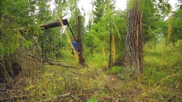 Un turista con gorra de béisbol con una mochila a sus espaldas en el bosque junto a un árbol caído . — Vídeo de stock