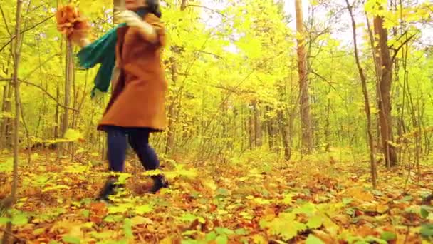 Uma jovem mulher em um dia ensolarado em um parque de outono com folhas de bordo em suas mãos gira e joga folhas no ar . — Vídeo de Stock