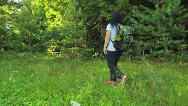 Женщина-туристка с рюкзаком идет в лес. стрельба со спины — стоковое видео