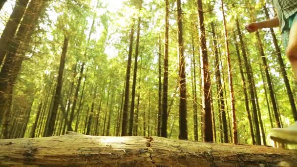 Jambes de femme roulant sur un arbre à travers un ravin . — Video