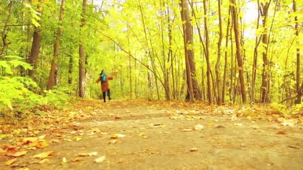 Mladá brunetka žena v kabát a šátek v podzimním parku s maple listy v její ruce běží podél cesty a hodí se listy — Stock video