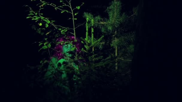 La sorcière verte regarde au loin, laissant les buissons dans les bois la nuit . — Video