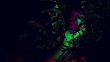Kırmızı ışık çalıların şubeleri aracılığıyla yeşil cadı eş
