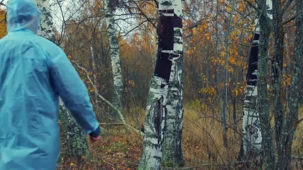 Un hombre con un impermeable atraviesa el bosque. Plan global . — Vídeo de stock