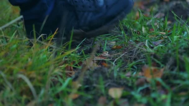 Mens πόδια σε βρώμικες μπότες πάει μέσα στη λάσπη μετά από βροχή. Γκρο πλαν. — Αρχείο Βίντεο
