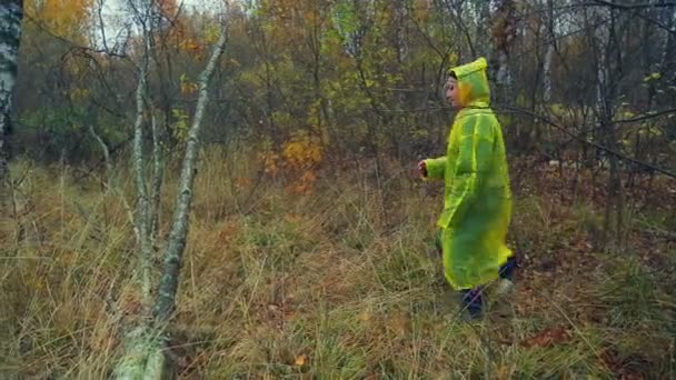 Una mujer con un impermeable amarillo pisa un árbol caído en el bosque — Vídeo de stock