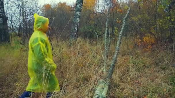 Uma mulher de capa de chuva pisa sobre uma árvore caída na floresta. Plano global . — Vídeo de Stock