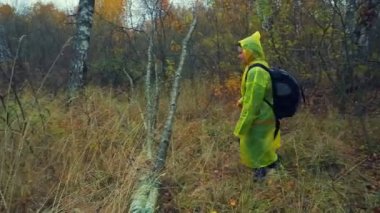 Bir sırt çantası içinde sarı yağmurluk merdiven ormana düşmüş bir ağaç üzerinde bir kadınla.